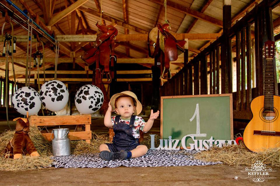 Luiz Gustavo - 1 Ano